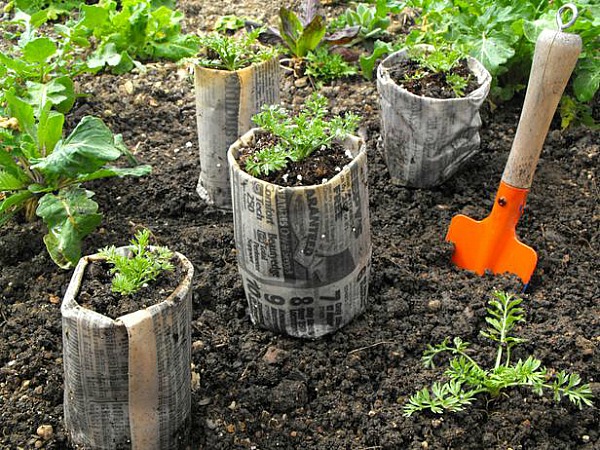 7 DIY Seed Pots From Common Household Items for Starting Seeds Indoors