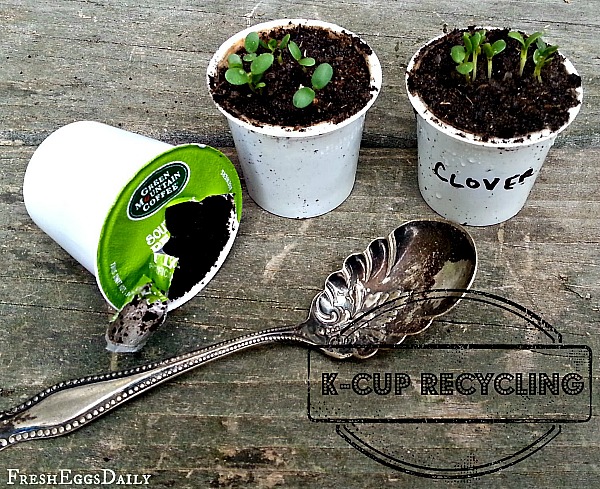 The Double Cup Method to Start Seeds 