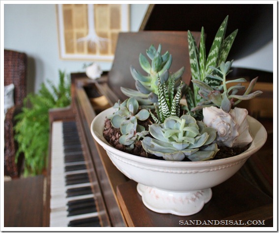 11 Beautiful Succulent Container Ideas- If you want to decorate with plants, but want something easy to maintain, then you need to use succulents! For some great inspiration, check out these pretty ways to decorate with succulents! It's easy to make a beautiful succulent garden! | succulent container ideas #succulents #homeDecor #housePlants #indoorGardening #ACultivatedNest