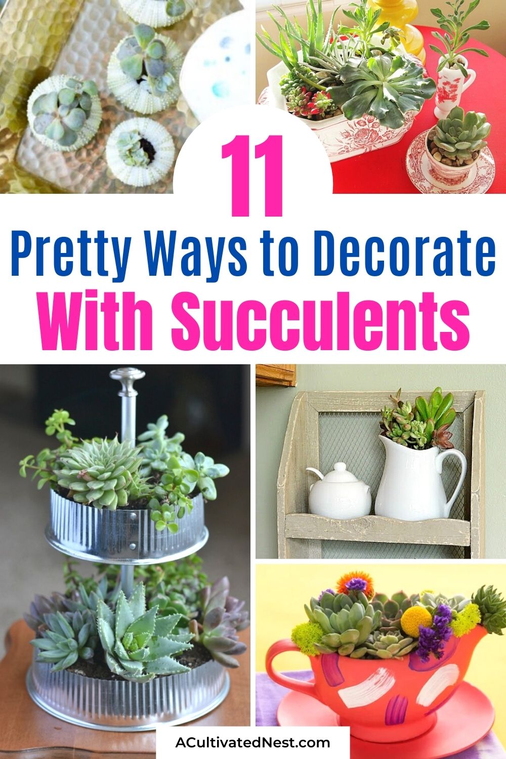 11 Beautiful Ways to Decorate With Succulents- If you want to decorate with plants, but want something easy to maintain, then you need to use succulents! For some great inspiration, check out these pretty ways to decorate with succulents! It's easy to make a beautiful succulent garden! | succulent container ideas #succulents #homeDecor #housePlants #indoorGardening #ACultivatedNest