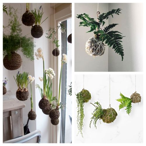 10 DIY String Gardens "Kokedama"- For a different kind of indoor garden, you should check out these DIY kokedama (hanging moss ball planters)! They're easy to make, and look beautiful! | #indoorGarden #gardening #garden #gardenIdeas #ACultivatedNest