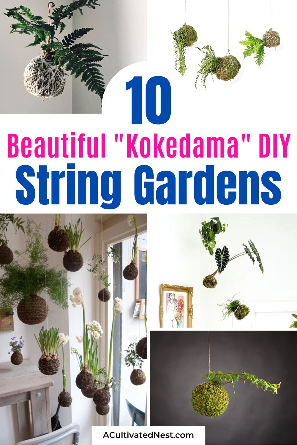 10 DIY String Gardens "Kokedama"- If you want a different kind of indoor garden, you should check out these DIY string gardens called "kokedama" (hanging moss ball planters)! They're easy to make, and look beautiful! | #indoorGarden #gardening #garden #gardenIdeas #ACultivatedNest