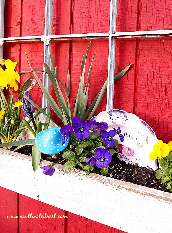 Planting a spring window box garden - vintage "Give Us This Day Plate", spring blooms, violas
