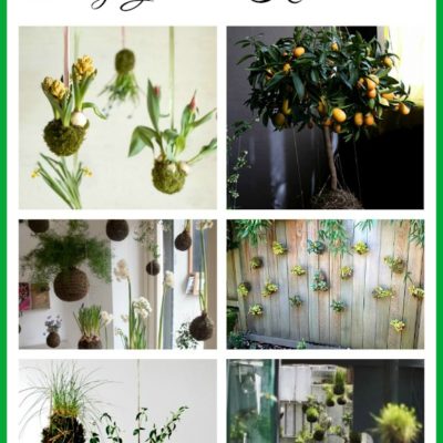 String Garden Inspiration