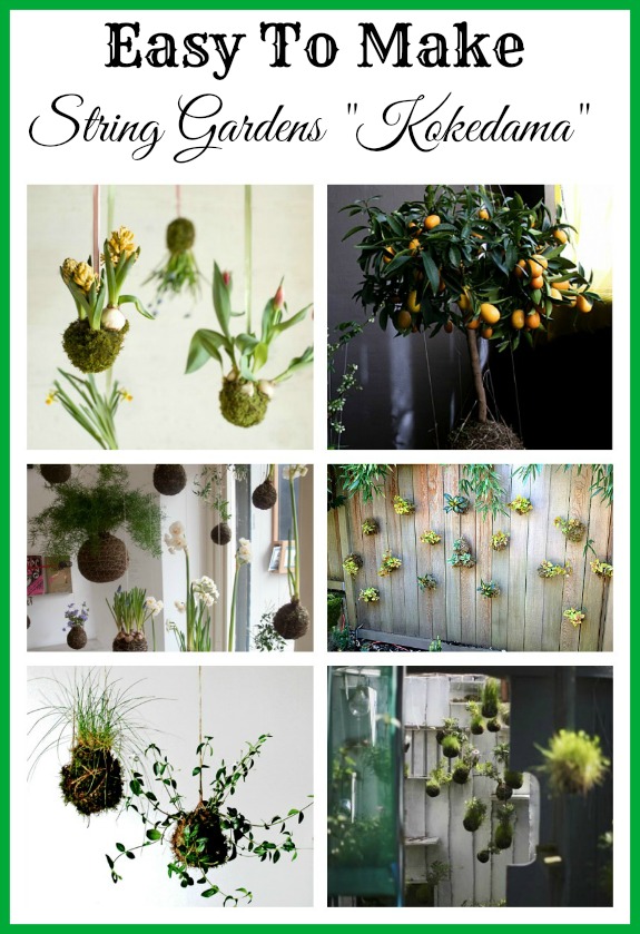 10 DIY String Gardens "Kokedama"- Want a different sort of indoor garden? Then you need to take a look at these DIY string gardens called kokedama (hanging moss ball planters)! They're easy to make, and look so unique and beautiful! | #indoorGardening #gardening #garden #gardenIdeas #ACultivatedNest