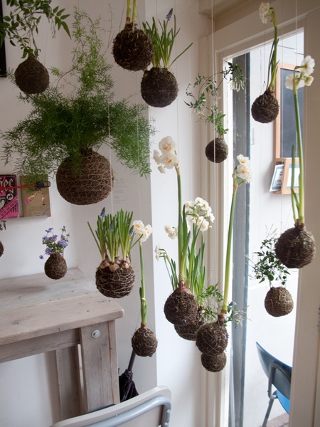 10 DIY String Gardens "Kokedama"- For a different kind of indoor garden, you should check out these DIY kokedama (hanging moss ball planters)! They're easy to make, and look beautiful! | #indoorGarden #gardening #garden #gardenIdeas #ACultivatedNest