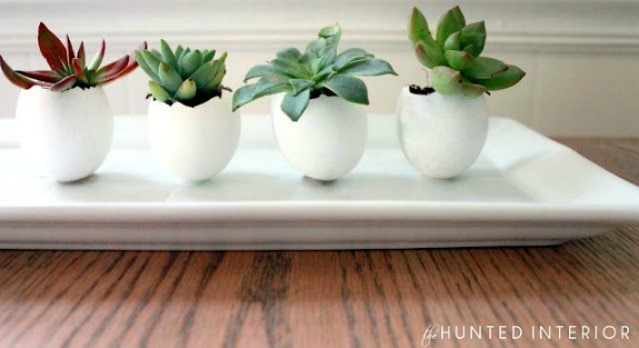 11 Beautiful DIY Succulent Container Ideas- If you want to decorate with plants, but want something easy to maintain, then you need to use succulents! For some great inspiration, check out these pretty ways to decorate with succulents! It's easy to make a beautiful succulent garden! | succulent container ideas #succulents #homeDecor #housePlants #indoorGardening #ACultivatedNest
