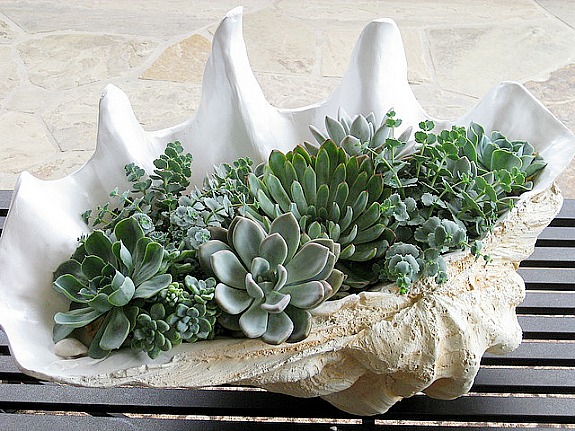 11 Beautiful Succulent Container Ideas- If you want to decorate with plants, but want something easy to maintain, then you need to use succulents! For some great inspiration, check out these pretty ways to decorate with succulents! It's easy to make a beautiful succulent garden! | succulent container ideas #succulents #homeDecor #housePlants #indoorGardening #ACultivatedNest