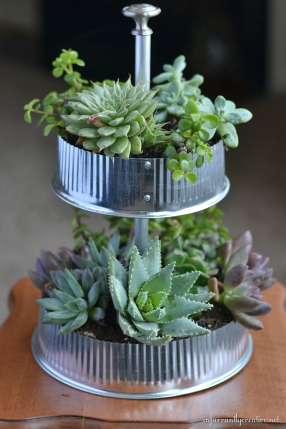 11 Beautiful DIY Succulent Container Ideas- If you want to decorate with plants, but want something easy to maintain, then you need to use succulents! For some great inspiration, check out these pretty ways to decorate with succulents! It's easy to make a beautiful succulent garden! | succulent container ideas #succulents #homeDecor #housePlants #indoorGardening #ACultivatedNest