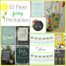 10 Cute Spring Free Printables- Decorate your home for spring on a budget with these 10 beautiful free printable spring wall art prints! | #freePrintable #spring #printable #ACultivatedNest