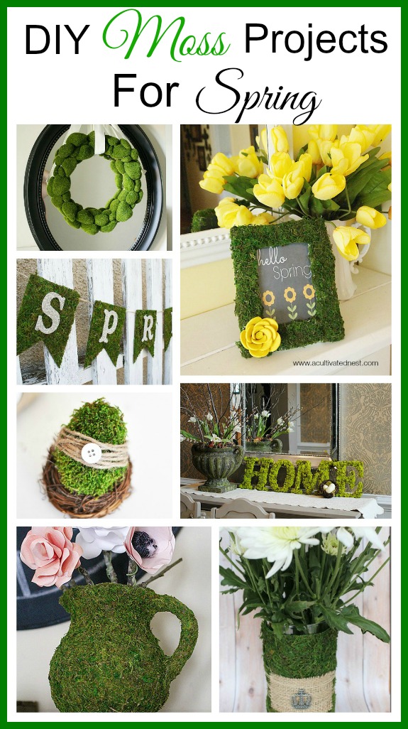 DIY moss projects for spring. Moss is a great way to add a touch of spring and nature to your home. Lots of great DIY home decorating projects!| spring home decor| easy crafts