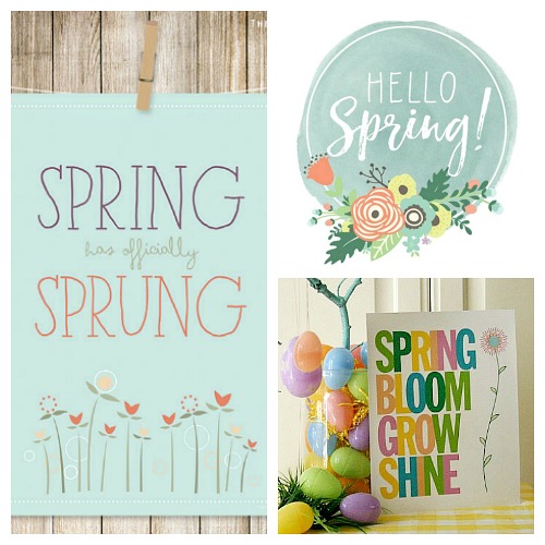 15 Cute Free Spring Printables- These spring wall art prints are an easy (and inexpensive) way to get your home ready for spring! | spring decor, spring art prints, Easter decor, Easter art prints, #freePrintables #wallArt #spring #decor #ACultivatedNest