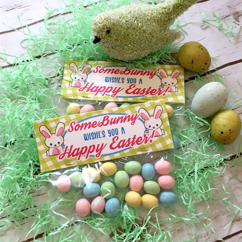 Free Printable Spring Wall Art + Easter Treat Bag Topper- Finish off your Easter party favors with this adorable "SomeBunny wishes you a Happy Easter" treat bag topper printable! | #freePrintable #treatBagTopper #Easter #ACultivatedNest