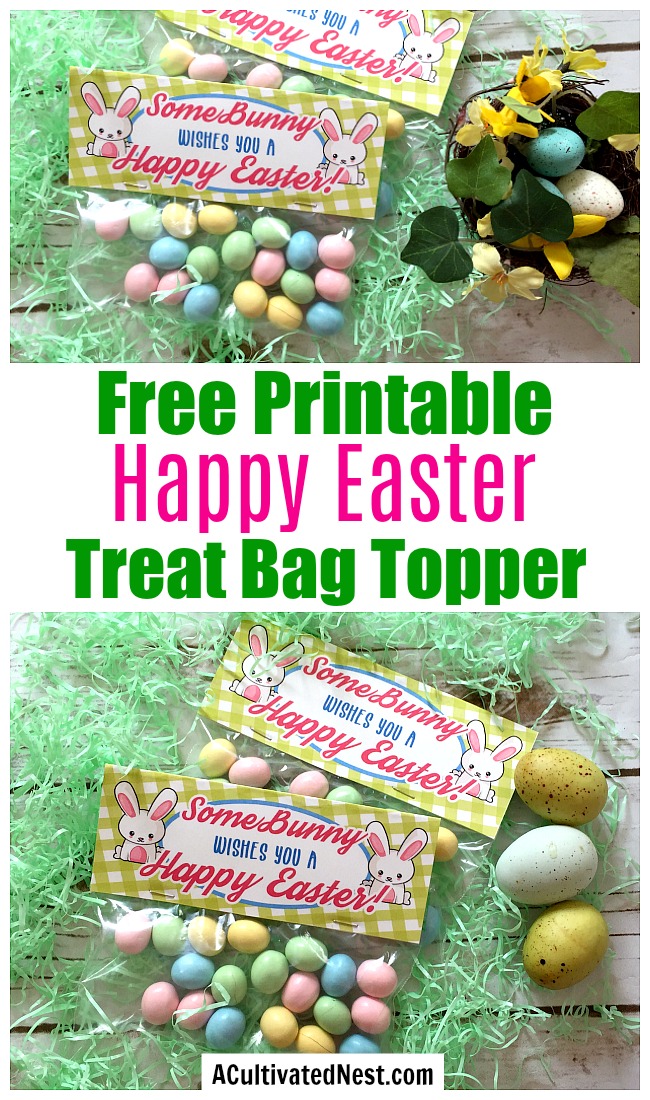 Free Printable Spring Wall Art + Easter Treat Bag Topper- Finish off your Easter party favors with this adorable "SomeBunny wishes you a Happy Easter" treat bag topper printable! | #freePrintable #treatBagTopper #Easter #printable #ACultivatedNest