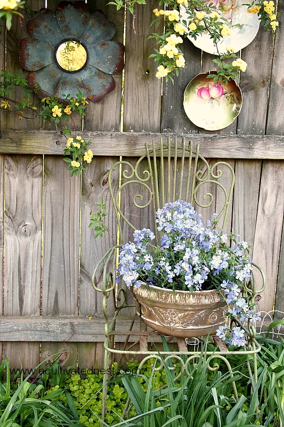 A Cottage Garden - phlox in a container