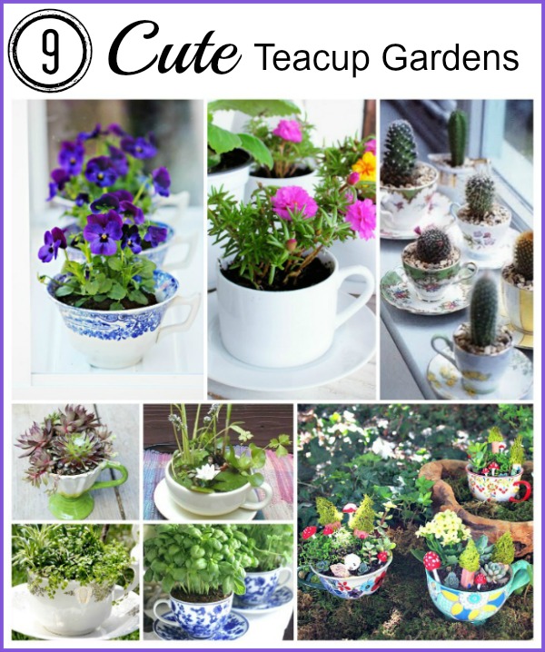 9 Cute DIY Teacup Gardens - Add some whimsy to your decor! Turn old teacups into charming mini gardens! Fairy gardens, teacup gardens, miniature gardens, gardening ideas, creative gardening ideas #diygardening #fairygardens #minigardens #gardening #diygiftideas #acultivatednest