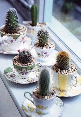 9 Cute DIY Teacup Gardens - Add some whimsy to your decor! Turn old teacups into charming mini gardens! Mini cactus garden, Fairy gardens, teacup gardens, miniature gardens, gardening ideas, creative gardening ideas #diygardening #fairygardens #minigardens #gardening #diygiftideas #acultivatednest