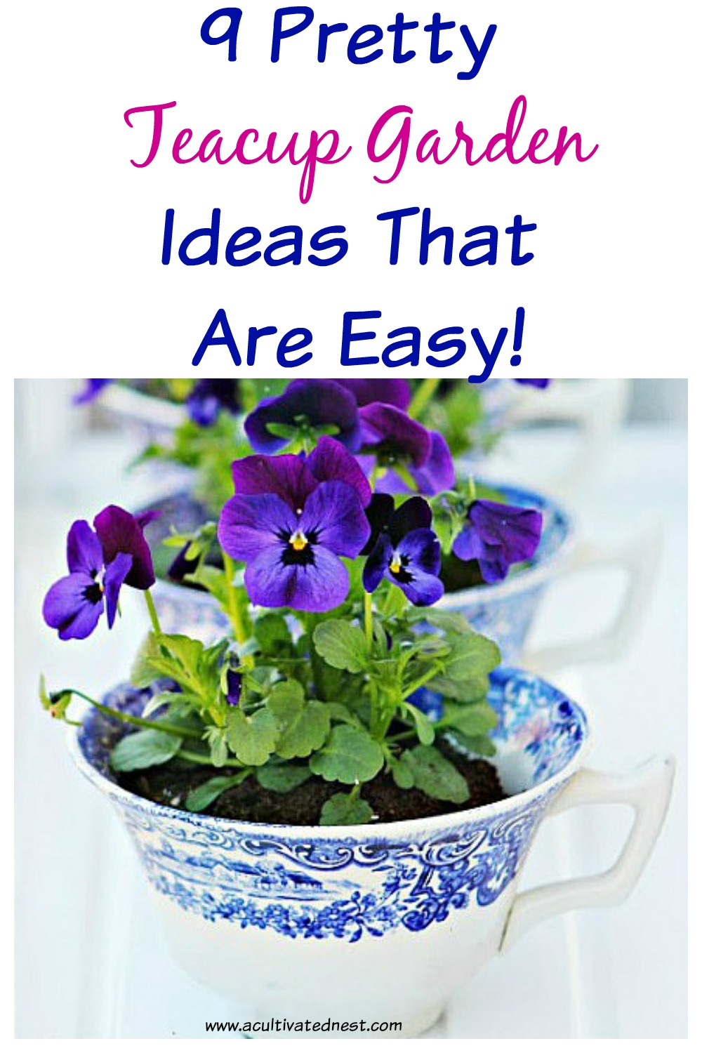 9 DIY Teacup Garden Inspiration Ideas