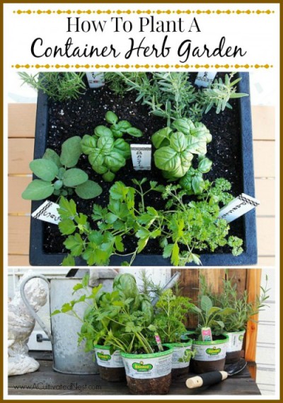 Tips for planting a container herb garden