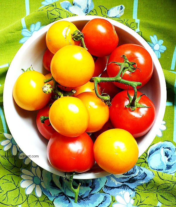 A perfectly ripe home grown tomato warmed by the sun is NOTHING like the ones you get in the grocery store (as most of you know that grow tomatoes)! I planted some tomatoes recently and wanted to share with you a few tips that I hope will improve your chances for growing bigger & healthier tomatoes.