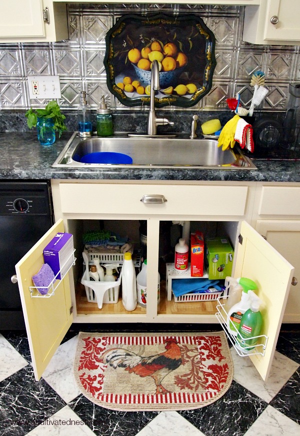 How to Organize the Cabinet Under Your Kitchen Sink