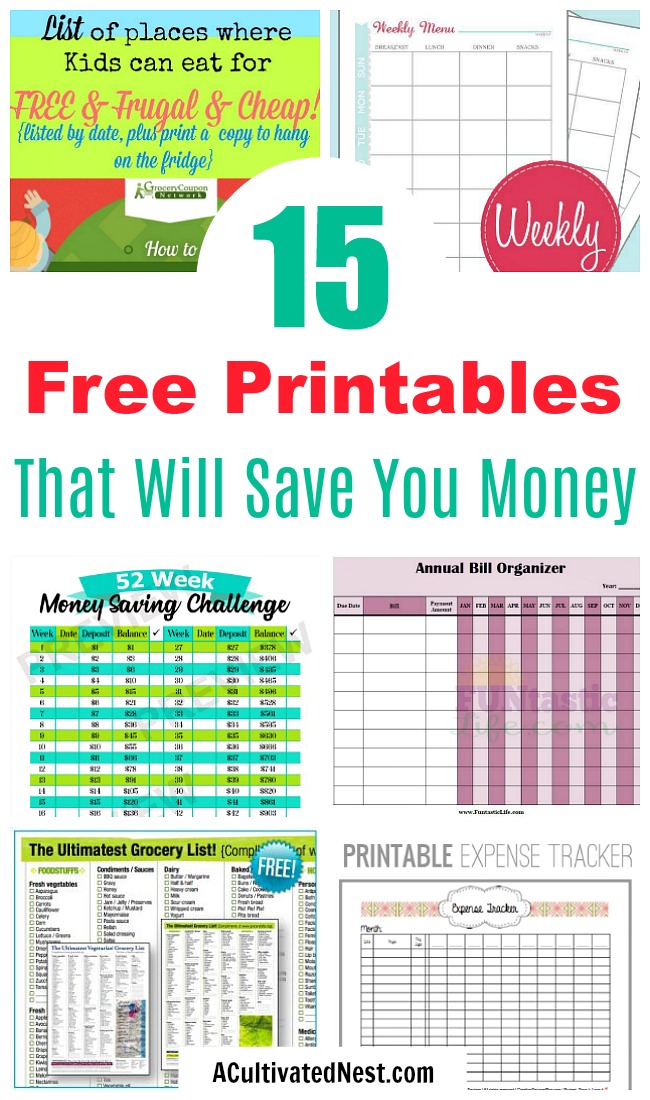 15 Free Printables to Save You Money- If you want to save money, you need to check out these 15 free printables! They'll help you to save money, plus keep your financial life organized!