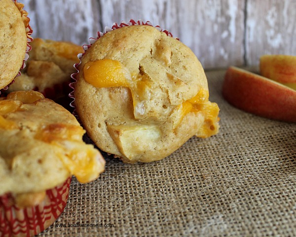 Sweet chunky apple cheddar muffins
