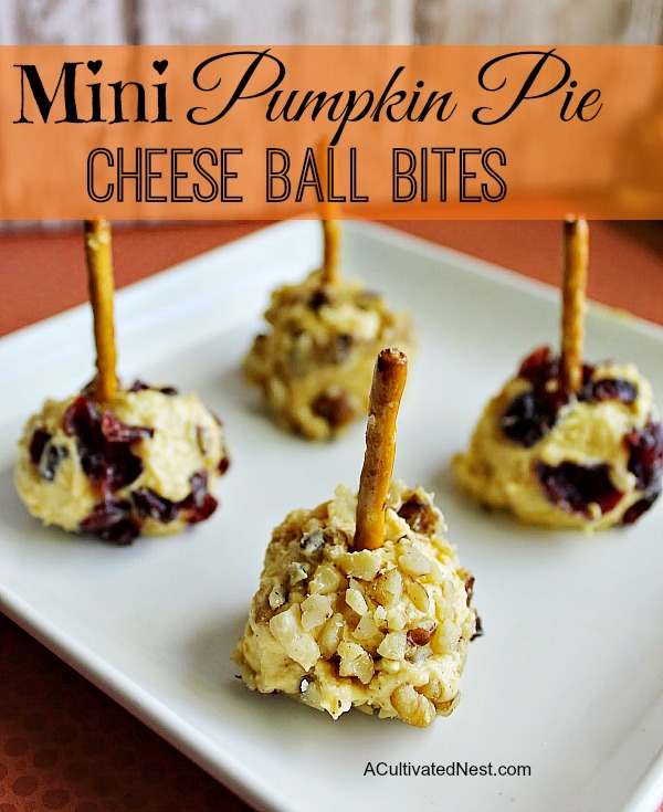 Mini Pumpkin Pie Cheese Ball Bites- This is a super easy fall inspired appetizer with many different options for coatings, like dried cranberries, crushed graham crackers, etc. And the pretzel skewers make them perfect for parties! | no bake recipe, quick appetizer ideas, fall cheese recipes, autumn appetizers, #appetizer #cheese #ACultivatedNest