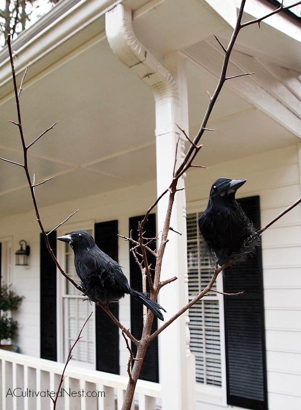 Halloween planter idea - wire black birds to branches that are planted into a fall planter