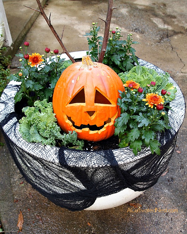 How to make a transitional fall/Halloween planter for your front porch area