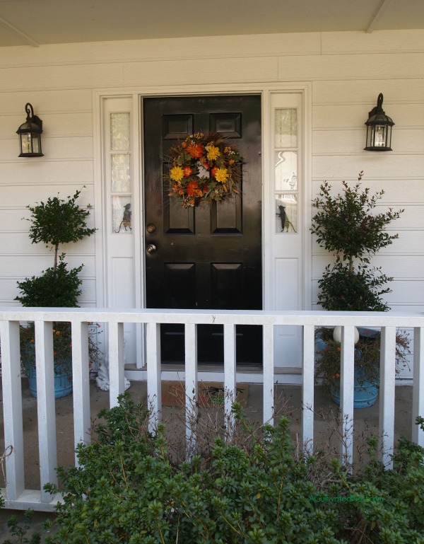Front door with mice silhouettes for Halloween in the front door sidelights