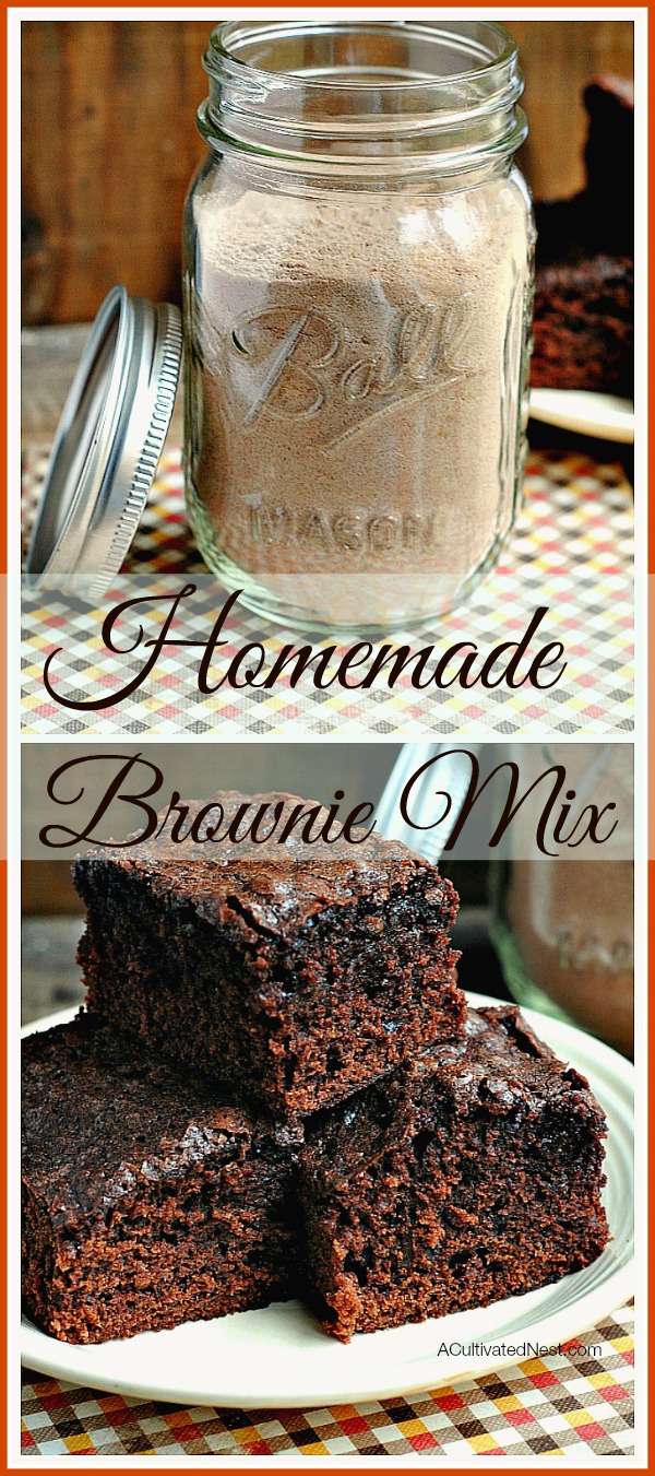 Ridiculously easy homemade brownie mix: Never buy boxed brownie mix again! Not only frugal but better for you since it eliminates all those crazy unknown ingredients. Makes a great gift too!