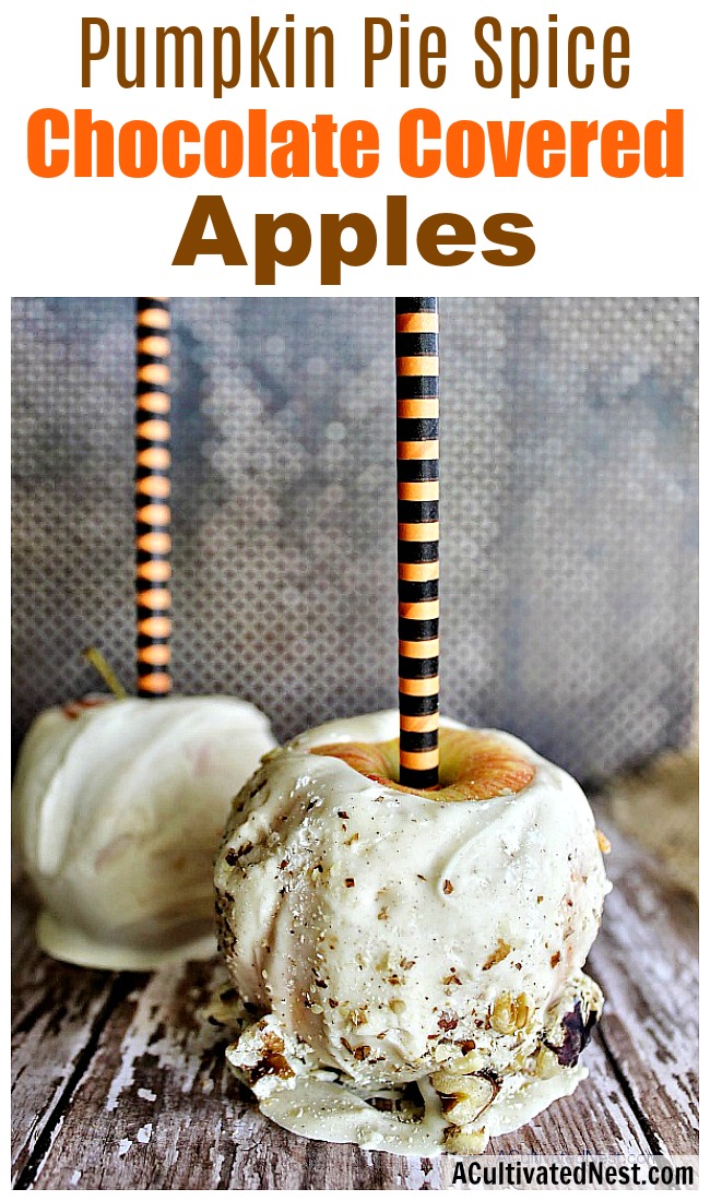 Homemade Chocolate Covered Pumpkin Pie Spice Apples- You don't have to buy pricey commercial chocolate covered apples when you can make your own! Here's how to make DIY chocolate covered pumpkin pie spice apples! | #recipe #dessert #food #apples #chocolateCoveredApples #fall #Halloween #partyFood #DIY #chocolate #ACultivatedNest