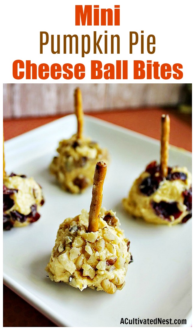 Mini Pumpkin Pie Cheese Ball Bites- These mini pumpkin pie cheese ball bites are a quick, easy, and inexpensive no-bake party appetizer that's perfect for fall! | no bake recipe, quick appetizer ideas, fall cheese recipes, autumn appetizers, #appetizer #noBake #ACultivatedNest