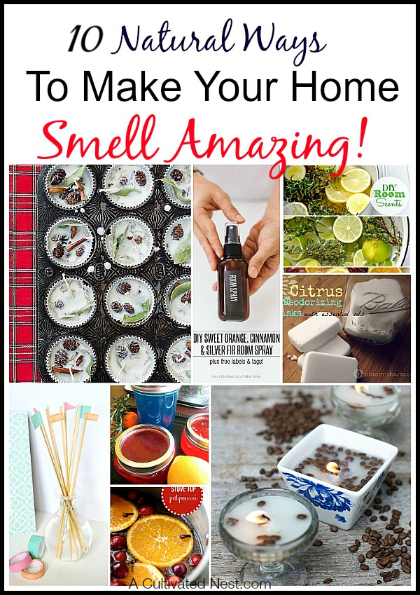 10 Natural Ways To Make Your Home Smell Amazing- Check out these DIY air fresheners for natural ways to make your home smell amazing! These all smell so wonderful, and are so easy to make! | #diyAirFresheners #DIY #airFreshener #homemade #ACultivatedNest