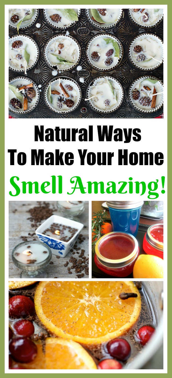 10 Natural Ways To Make Your Home Smell Amazing- If you want your home to smell good, you don't need to buy commercial air fresheners full of chemicals. Instead, check out these DIY natural ways to make your home smell amazing! | #diyAirFresheners #airFreshener #homemade #DIY #ACultivatedNest