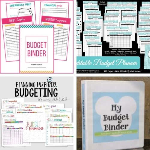 12 Printables for Your Budget Binder- You can put together your own DIY budget binder, but using a pre-made one will save you a lot of time! For some great pre-made budget binder printables, check out these budget binder Pinterest ideas, plus get a free printable! | #budget #budgetBinder #budgeting #printables #ACultivatedNest