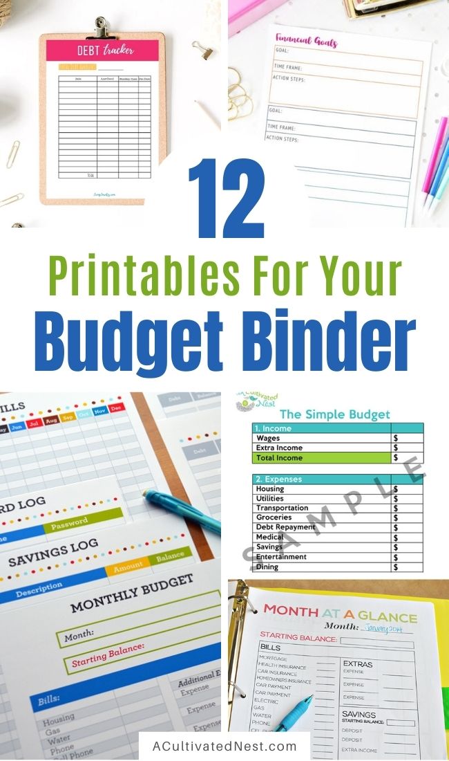 12 Budget Binder Pinterest Ideas and a Freebie- If you want to make a budget binder, you can DIY it from scratch, but using a pre-made one will save you a lot of time! Here are 12 pre-made printable budget binder pages to get you started! | #budget #budgeting #printables #budgetBinder #ACultivatedNest