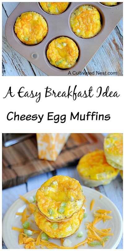 Easy Breakfast Idea: Egg Muffins