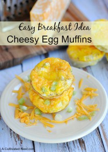 Easy Breakfast Idea: Egg Muffins