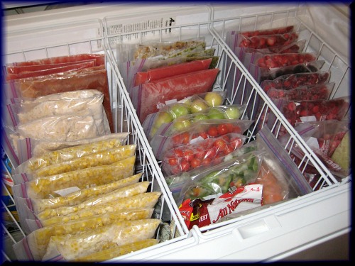 Ideas for Organizing a Chest Freezer- Kitchen Organization