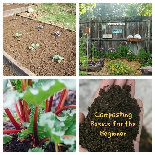 16 Resources for Newbie Gardeners- New to gardening? Here are 16 gardening articles every beginner gardener needs to read! | how to start a vegetable garden, beginning gardening, tips for new gardeners, #gardeningTips #gardening #vegetableGardening #ACultivatedNest