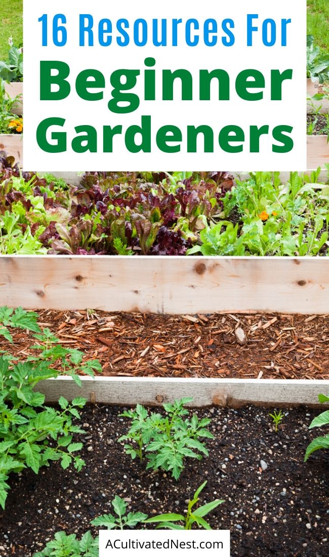 16 Resources for the Beginner Gardener- If you want to grow your own food, but don't have any experience gardening, then you need to check out these 16 helpful resources for the beginner gardener! | how to start a vegetable garden, beginning gardening, tips for new gardeners, #garden #gardeningTips #backyardGarden #vegetableGardening #ACultivatedNest