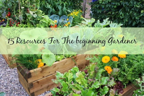 15 Resources For The Beginner Gardener