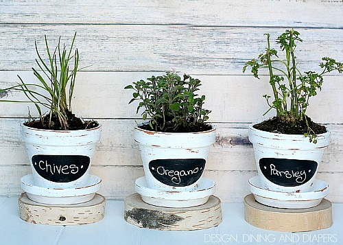 15 Creative Planter Makeover DIYs- Whether you've got a potted garden or are planning to give flowers as a gift, these DIY planter makeovers should be very helpful! | #DIY #craft #diyProject #gardenPlanter #ACultivatedNest