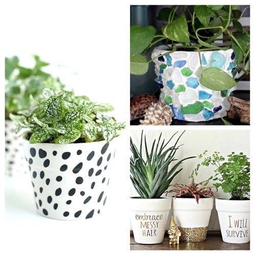 15 Creative DIY Planter Makeovers- Whether you've got a potted garden or are planning to give flowers as a gift, these DIY planter makeovers should be very helpful! | #DIY #craft #diyProject #gardenPlanter #ACultivatedNest