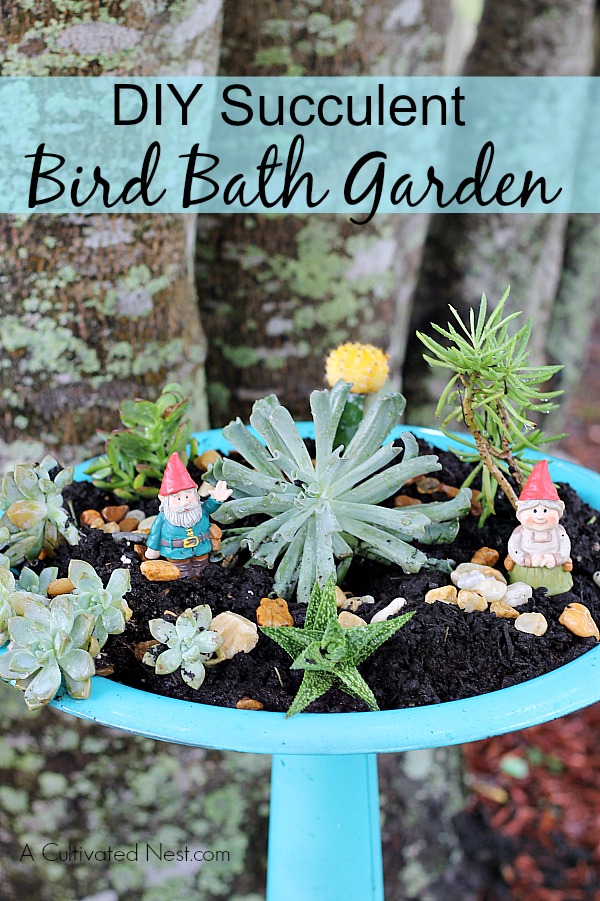 DIY Succulent Bird Bath Garden