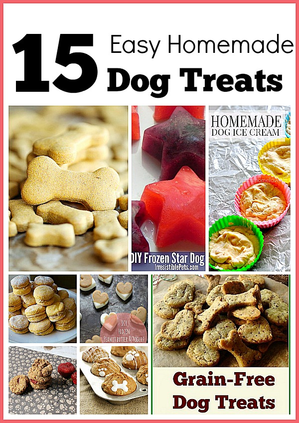 15 Easy Homemade Dog Treats