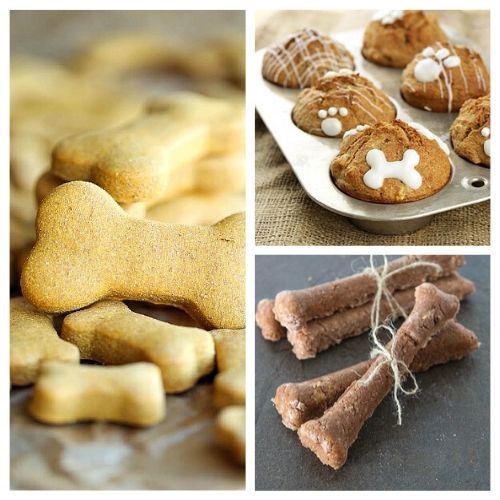 Homemade hard outlet dog treats