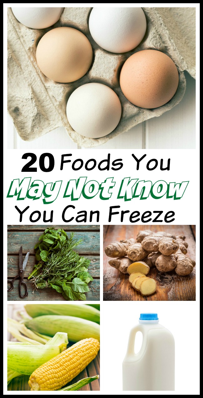 20 Foods You May Not Know You Can Freeze & how to freeze them